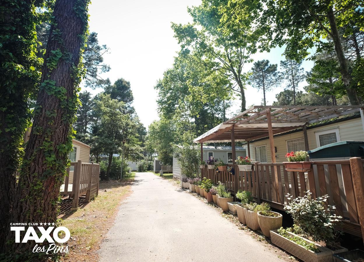 Camping Taxo Les Pins Argelès-sur-Mer Exterior foto